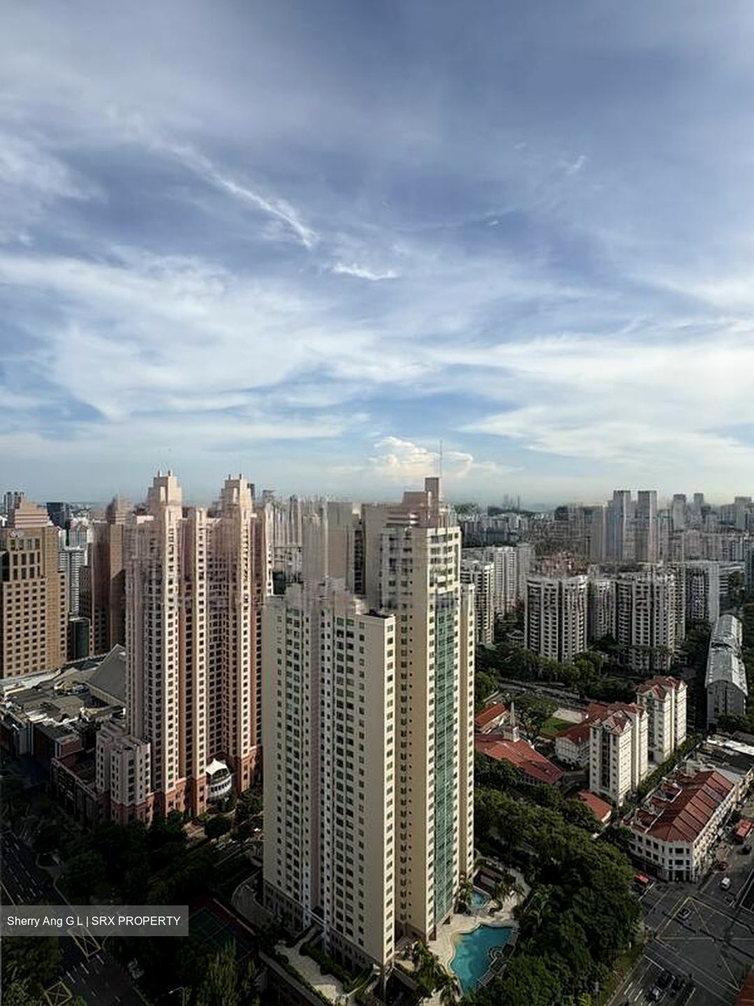 Irwell Hill Residences (D9), Apartment #597095971